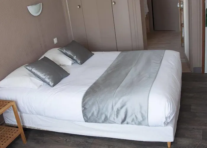 Le Pavillon Bleu Restaurant 鲁瓦扬